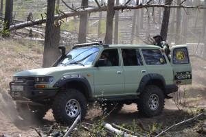 �������� �� 2016: ���������� ����� 2016